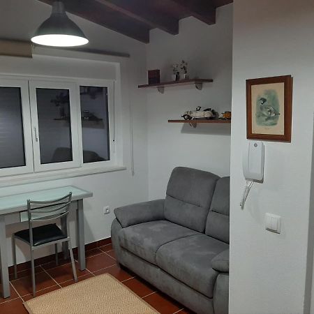 Alojamento Ferreira - Apartamento C Apartment Santiago do Cacem Bagian luar foto